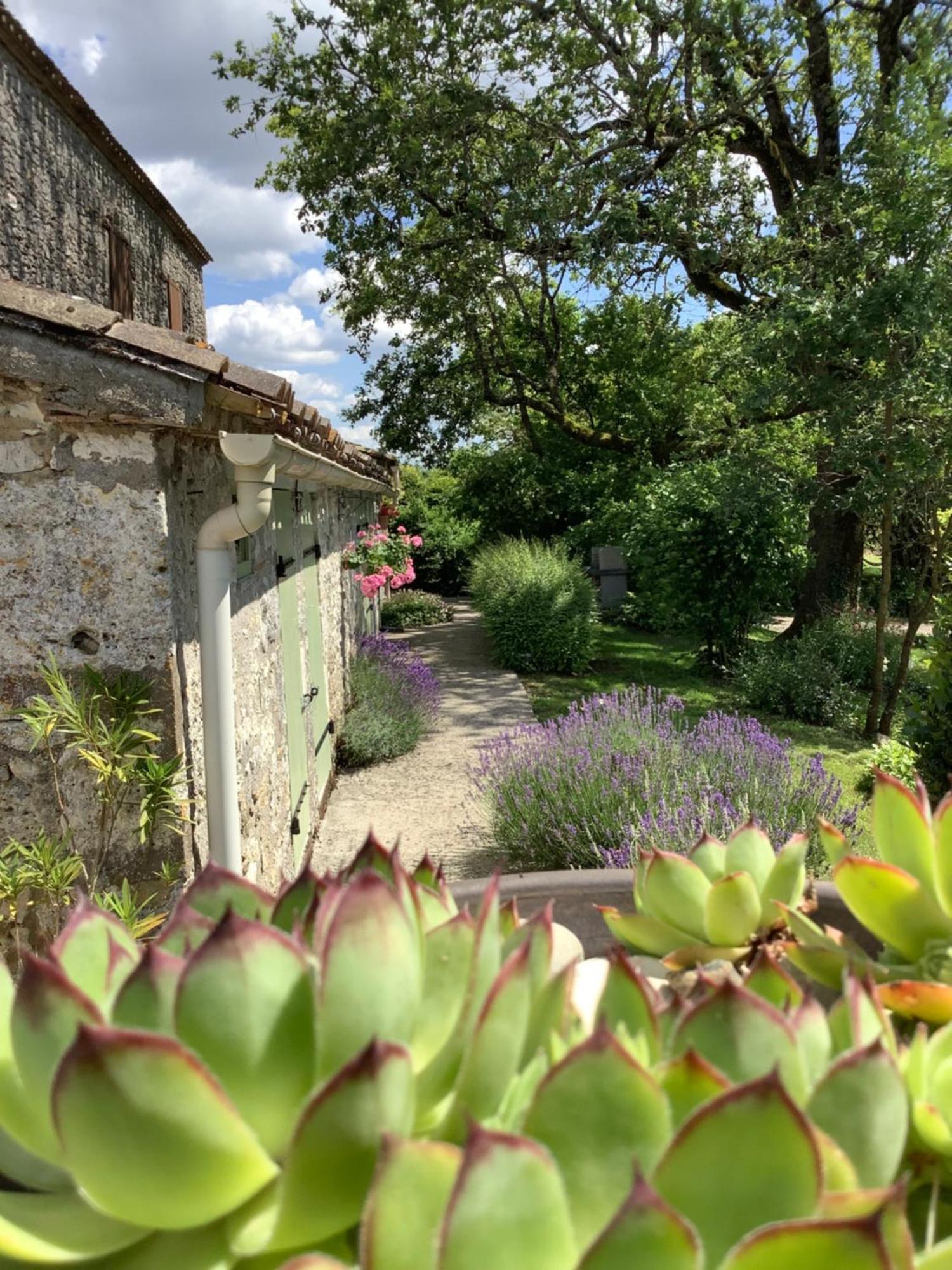Bed and Breakfast La Ferme Buissonnière à Bardou Extérieur photo